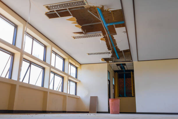 Best 24/7 water damage repair  in Fremont, OH