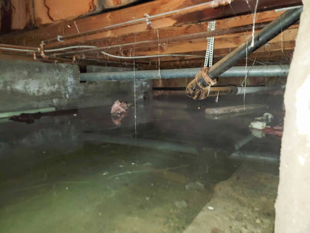 Best 24-hour water damage restoration  in Fremont, OH