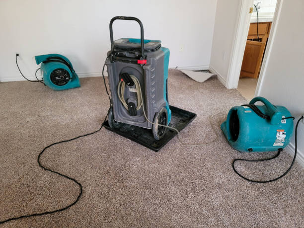 Carpet water damage restoration in OH
