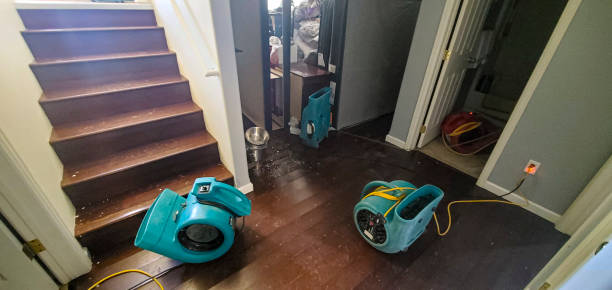 Best Flood damage cleanup  in Fremont, OH