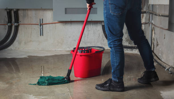 Best Emergency water damage restoration  in Fremont, OH