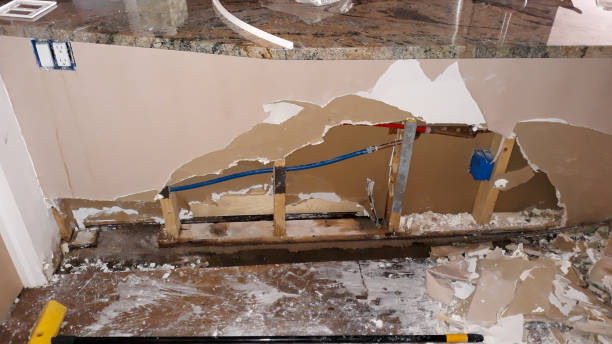 Best Water damage cleanup near me  in Fremont, OH