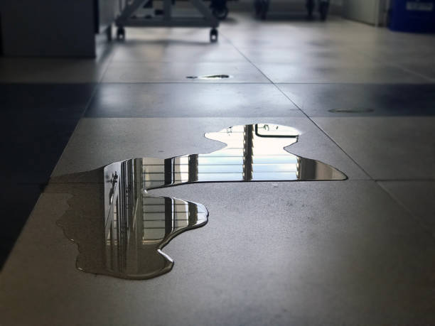 Best Water damage restoration cost  in Fremont, OH